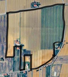 Azienda Agricola