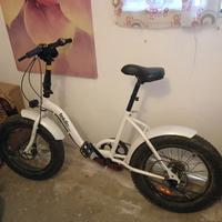 Bici tekilio pieghevole