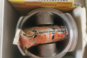 Pistone completo Slanzi