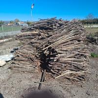 legna da ardere fasciata quercia e cerro secca 