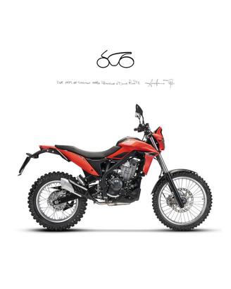 BETAMOTOR Alp 4.0 .