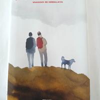 "Senza mai arrivare in cima" - Cognetti