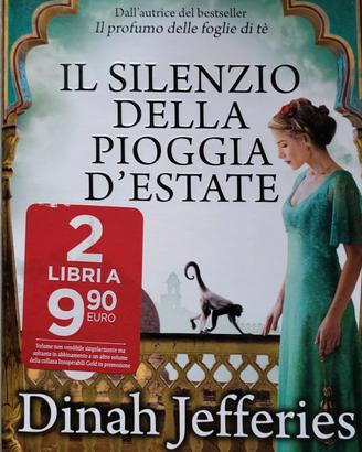 Il silenzio della pioggia d'estate 