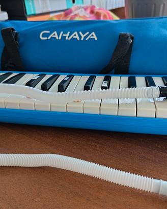 melodica