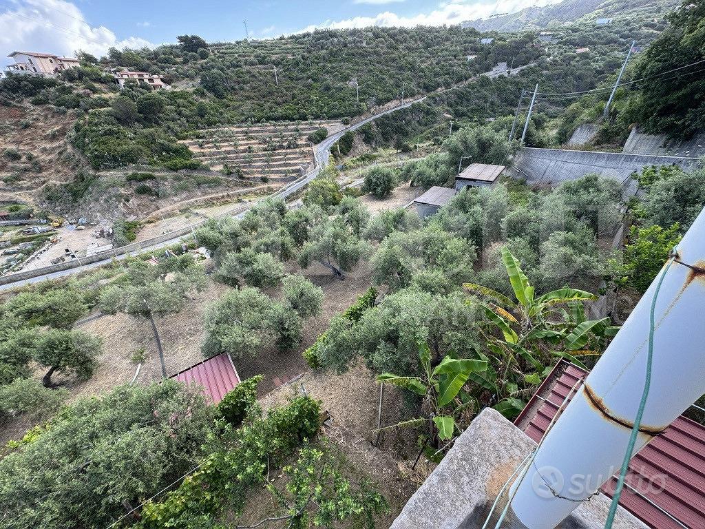 Terreno Agricolo Messina [Cod. rif 3331532VCG] - Altro