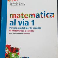 libro compiti vacanze di matematica classe 1°media
