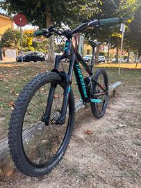 Cannondale jekill