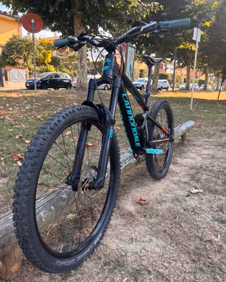 Cannondale jekill