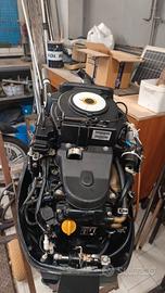 Mercury 25 hp