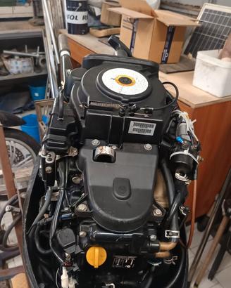 Mercury 25 hp