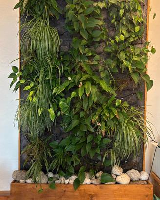 Parete verde - 2,80m - sistema di irrigazione auto