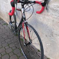 SCAPIN modello Etika  in carbonio 12 K (BdC)