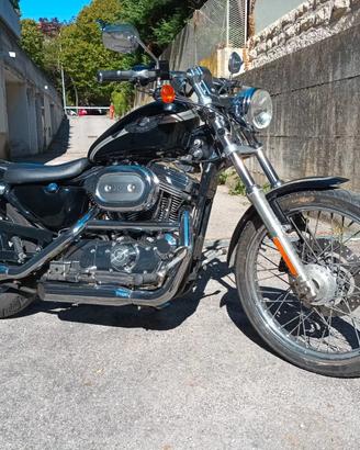 Moto Harley Davidson Sportster 1200 XL Custom