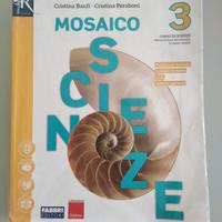 Mosaico scienze 3