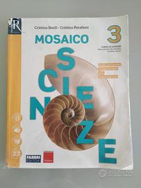 Mosaico scienze 3