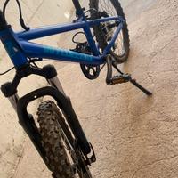 bicicletta mountain bike