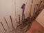 Immagine 1