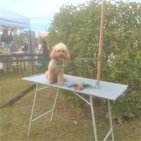 Cinometro professionale