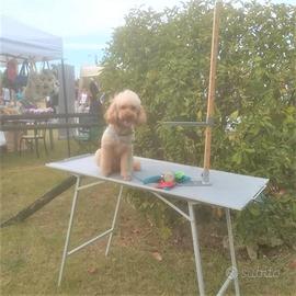 Cinometro professionale