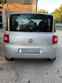 Fiat multiple 2010