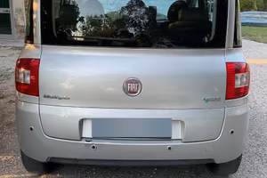 Fiat multiple 2010