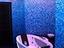 Immagine 14