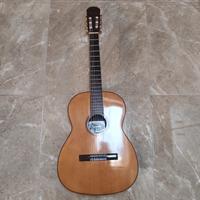 Chitarra Giannini 