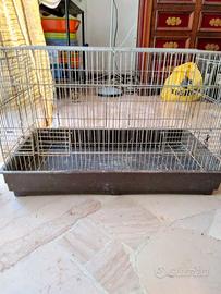 Gabbia per canarini, uccellini vari