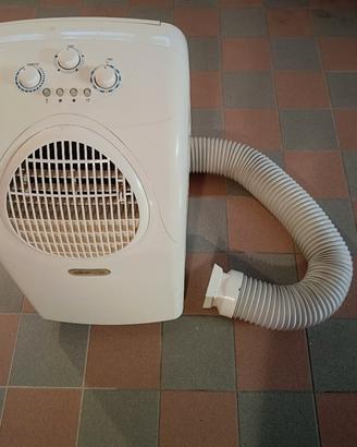 Climatizzatore portatile 