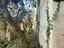 Immagine 24