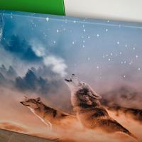 Quadro lupi di notte