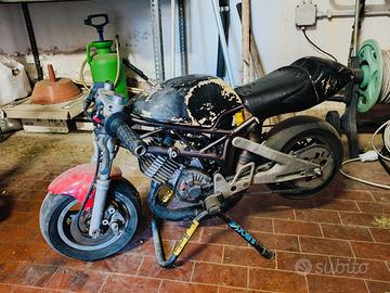 minimoto polini steel