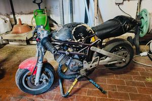 minimoto polini steel