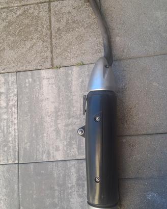 scarico t max