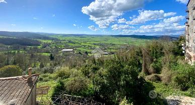 2 LOCALI A VALENTANO