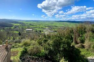 2 LOCALI A VALENTANO