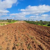 Terreno - Mazara del Vallo
