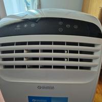 Climatizzatore Olimpia Splendid 