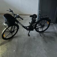 Bici elettrica leone