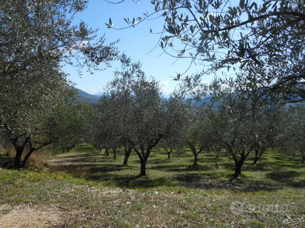 Terreno di 20000 m² a Pratella - Altro