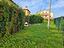 Immagine 6