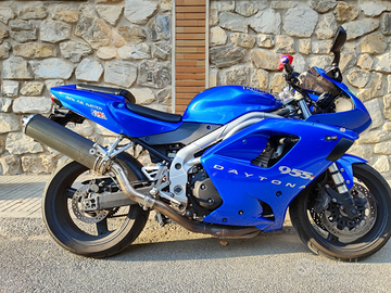 Triumph Daytona 955i