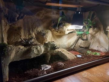 Aquario Terrario
