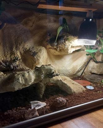 Aquario Terrario