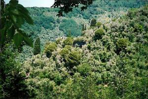 Terreno edificabile a Rapallo
