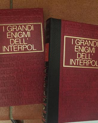 I Grandi Enigmi dell'Interpol - 2 Volumi