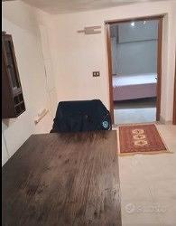 Borghesiana bilocale ampio