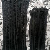 56 Cerniere Nere Professionali. Italia.