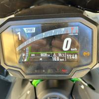 Kawasaki Z 900 - 2022