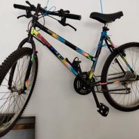 Bicicletta Mountain bike